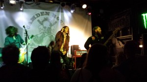 Buffalo Summer Camden