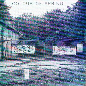 Colour Of Spring