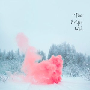 The Bright Wild