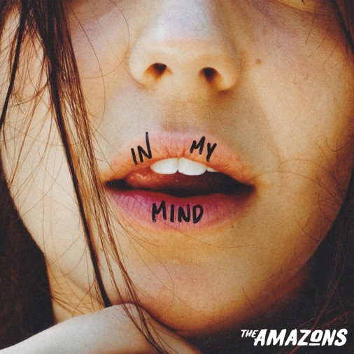 the-amazons